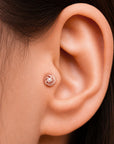 BIG ROMY - Piercing Perle D'eau Douce et Or Rose 18k