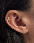 GINETTE - LABRET