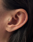 GINETTE - LABRET