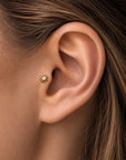 LIL JUDY - Piercing Perle D'eau Douce et Or Jaune 18k