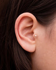 LIL TIZIZWIT - Piercing Perle D'eau Douce et Or Rose 18k