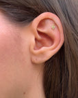 INÈS - LABRET