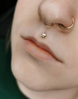 Big Baya - LABRET - READY TO SHIP