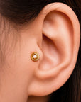 BIG ROMY - Piercing Perle D'eau Douce et Or Jaune 18k