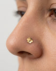 Close-up of a nose with a gold flower-shaped nose piercing stud