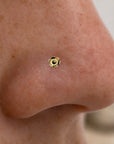 LIL BAYA - 18k Yellow Gold Nostril Piercing Stud