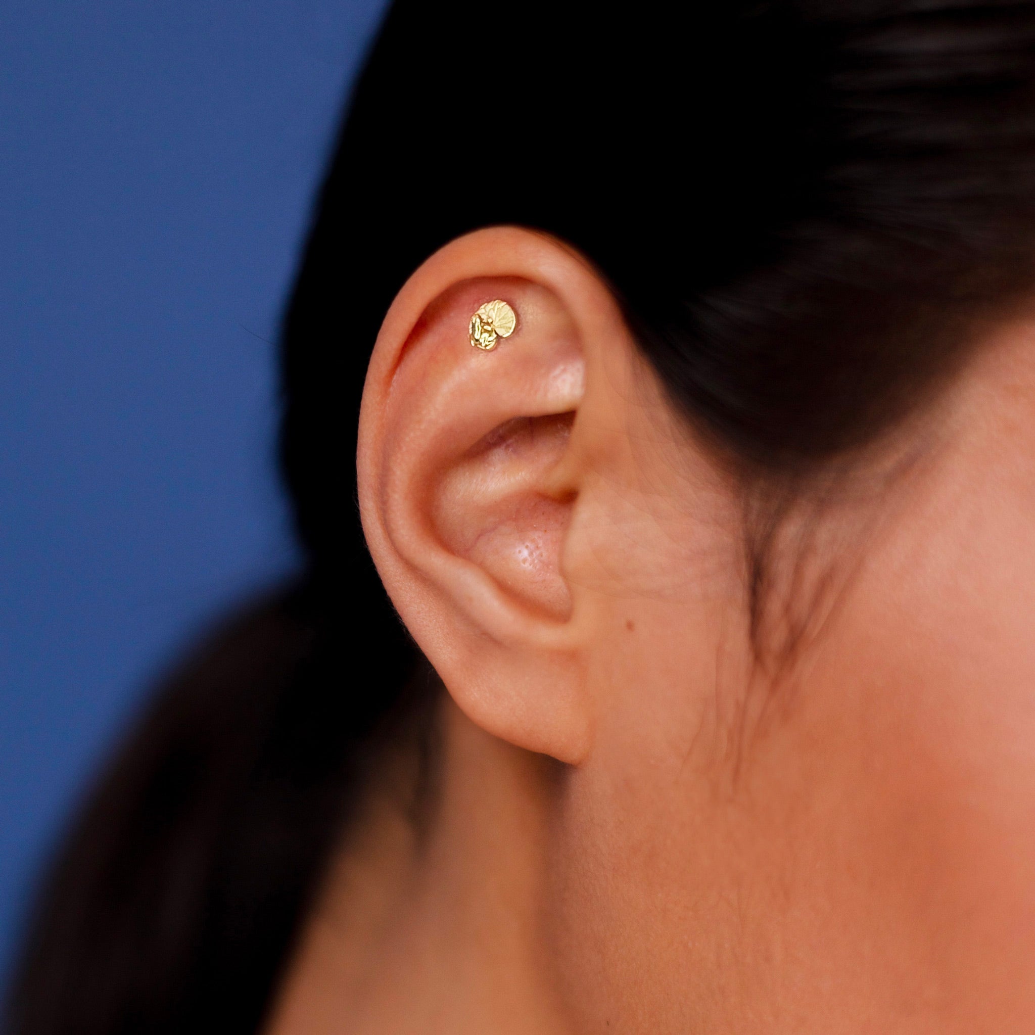 Frog on water lily leaf piercing stud in 18k yellow gold